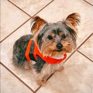 Meet your Posher, Michaela